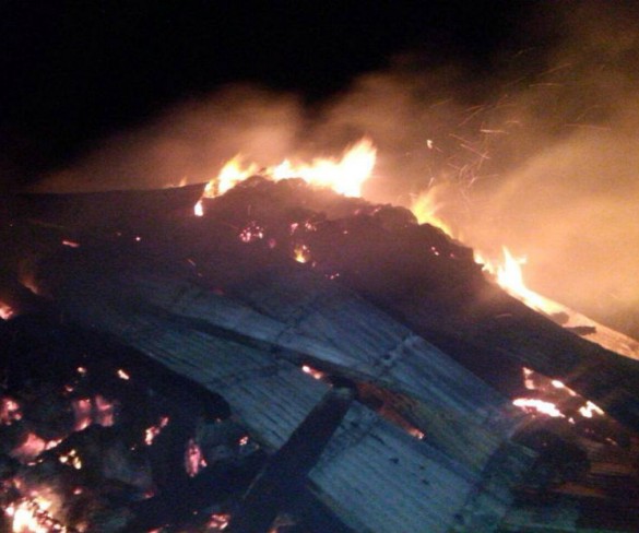 Un rayo destruyó un galpón con forraje en Quemchi