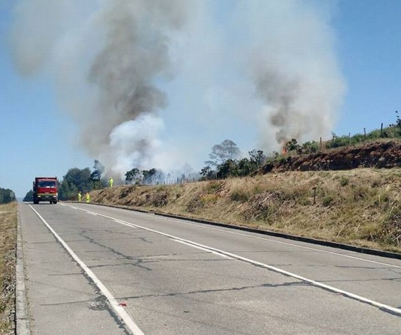 Onemi decreta estado de alerta temprana por ola de calor en la región