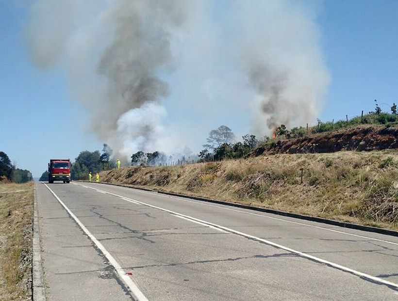 Onemi decreta estado de alerta temprana por ola de calor en la región