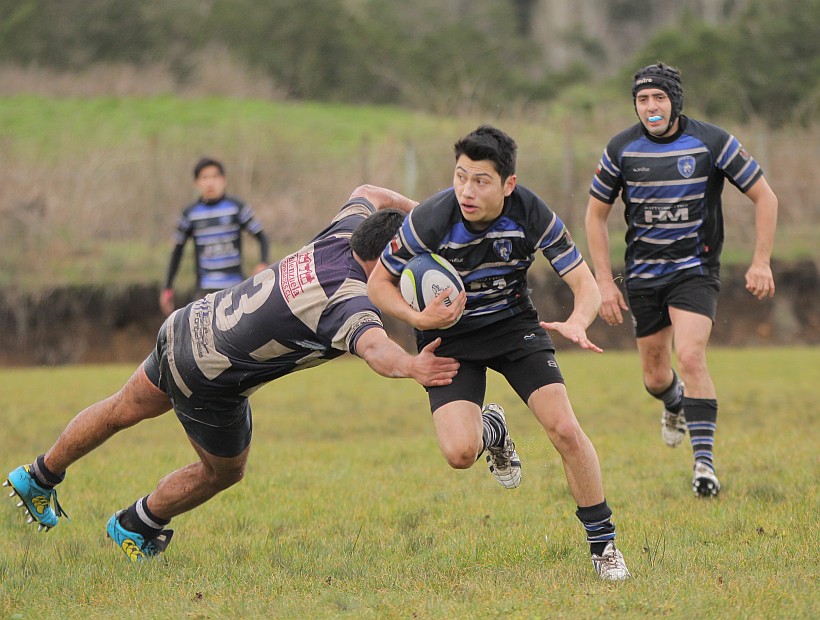 Traukos y Zorros: rugbistas isleños se suman a torneo nacional