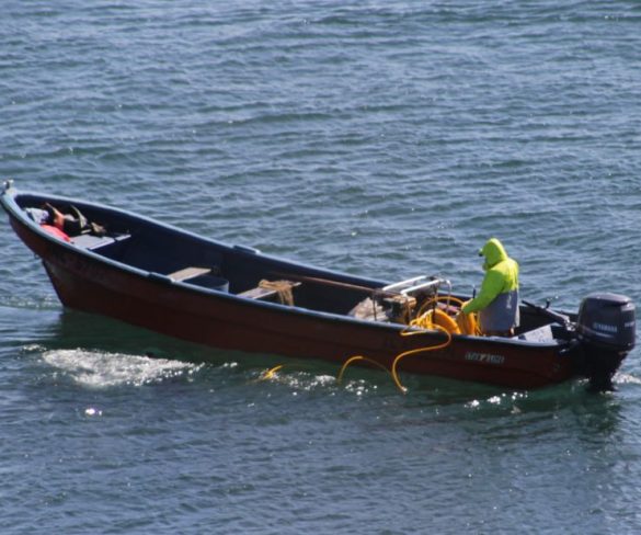 Pescadores emplazan a candidatos a comprometerse con la gente de mar