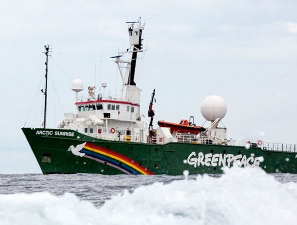 Barco de Greenpeace llega a Magallanes para crear Santuario en la Antártica