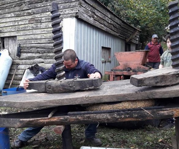 La  Maja  De Manzanas Tradición Chilota que  Sigue  Viva