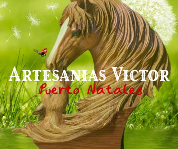 Artesanias  Victor En Puerto Natales