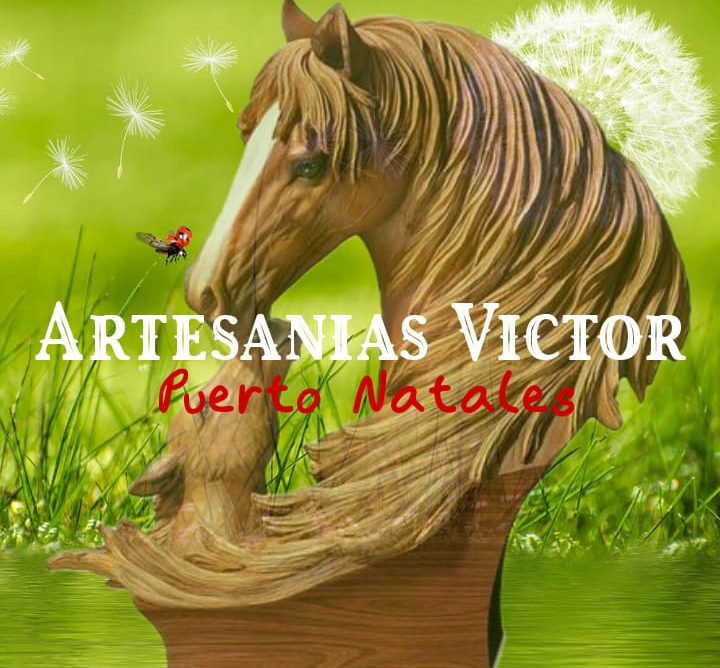 Artesanias  Victor En Puerto Natales